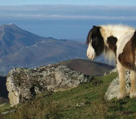 Beau T2 Proche Plages Et Montagnes Du Pays-basque